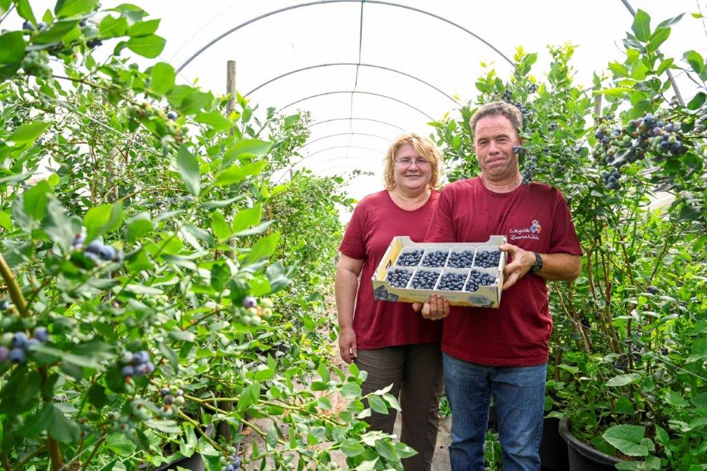 Unser Betrieb - Weigolds Beerenhof